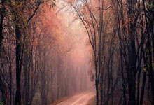 2025年第九届亚冬会竞赛总日程(3.0版)正式发布央视新闻客户端.