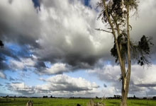 1平2负,马竞自2022年11月以来首次连续3场西甲不胜.