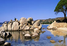 16岁成日本女乒新一姐❗️张本美和WTT金奈站夺冠,将升世界第5.